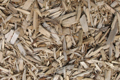 biomass boilers Hundall